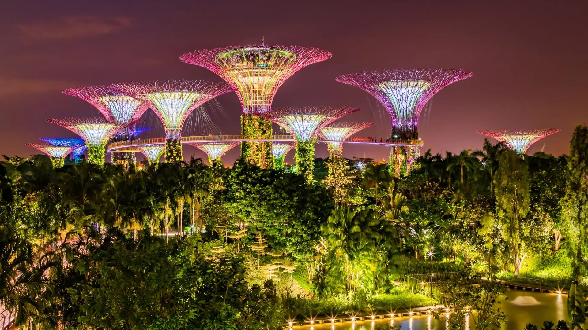 Gardens by the Bay lit at night