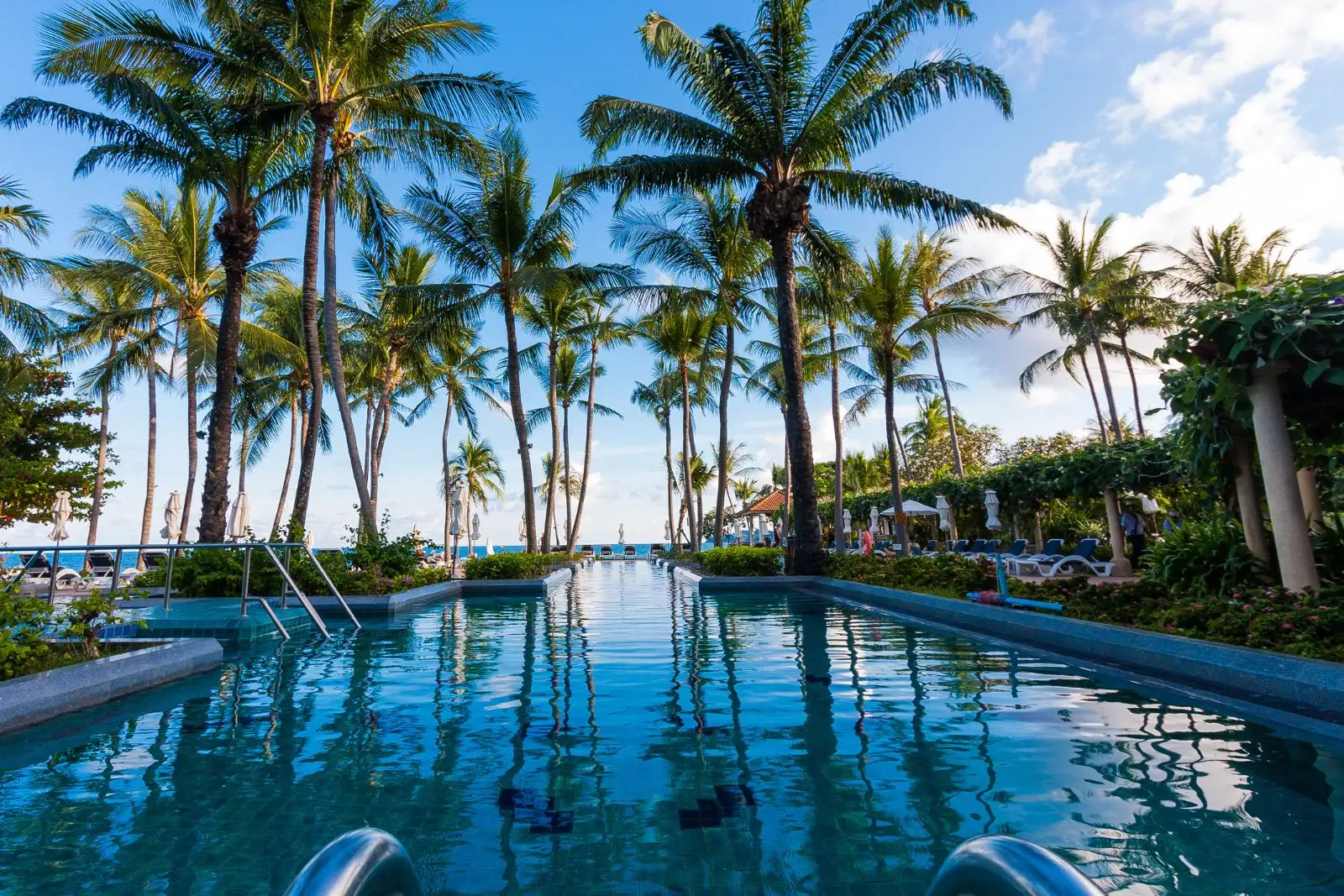 The pool under coconut palms, Koh Samui